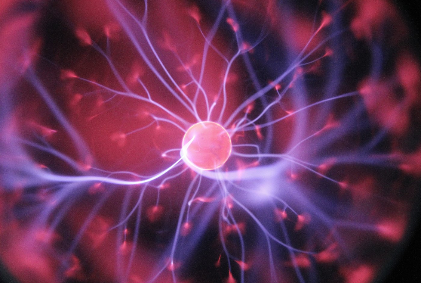 Nerve cell