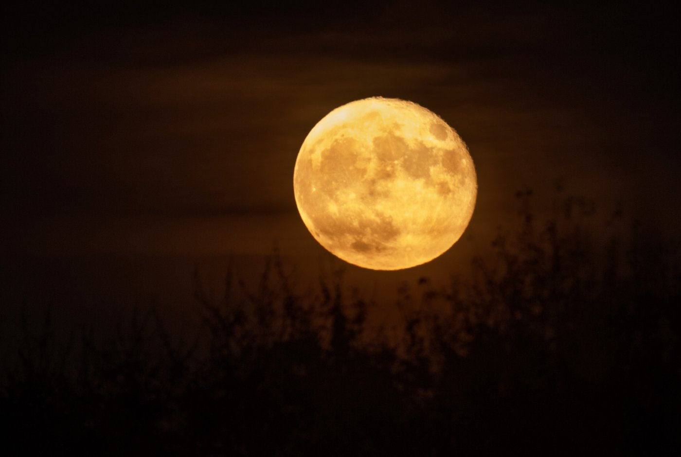 Moonrise