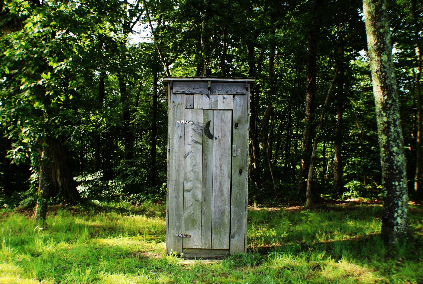 an old latrine in nature