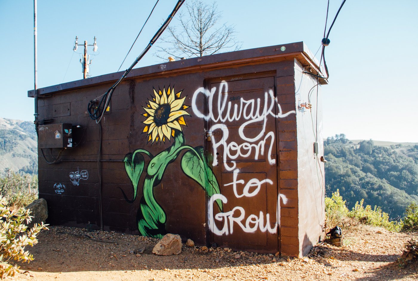 always room to grow