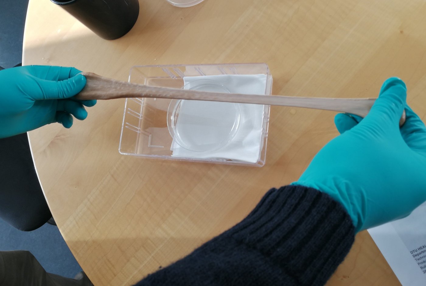 Bionic "bone material"