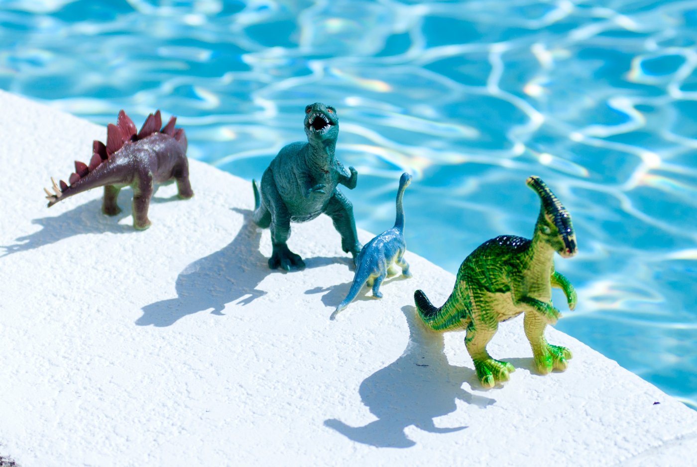 plastic toy dinosaurs by a pool