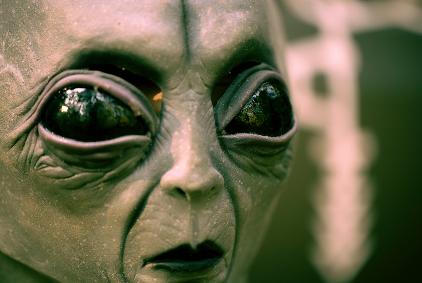 an image of an alien