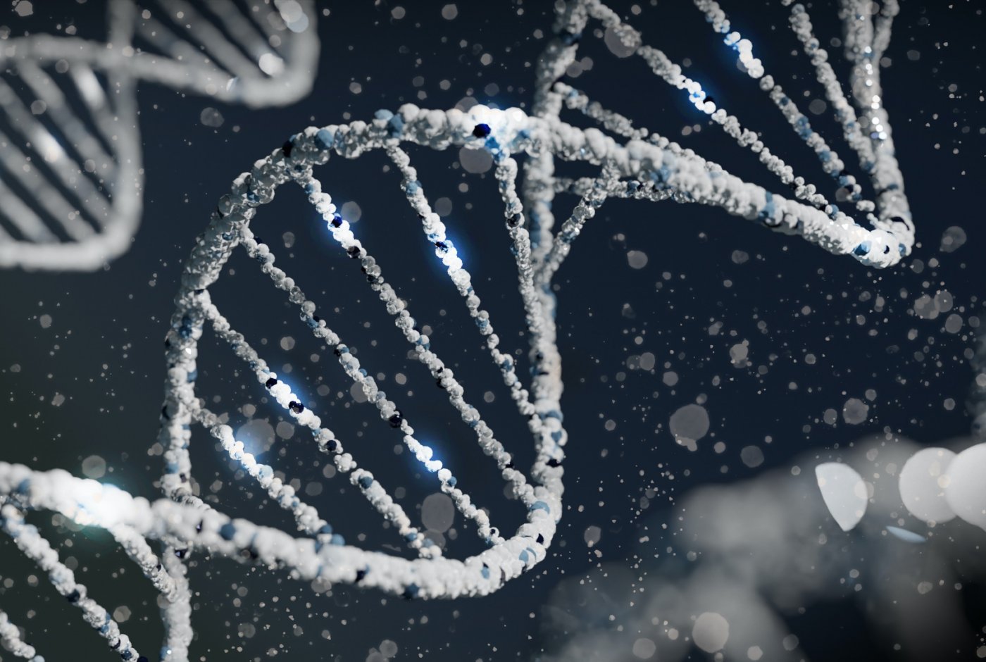 DNA strand