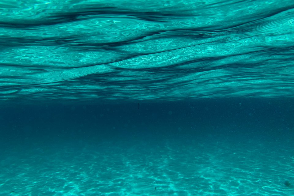 a photo under tthe sea
