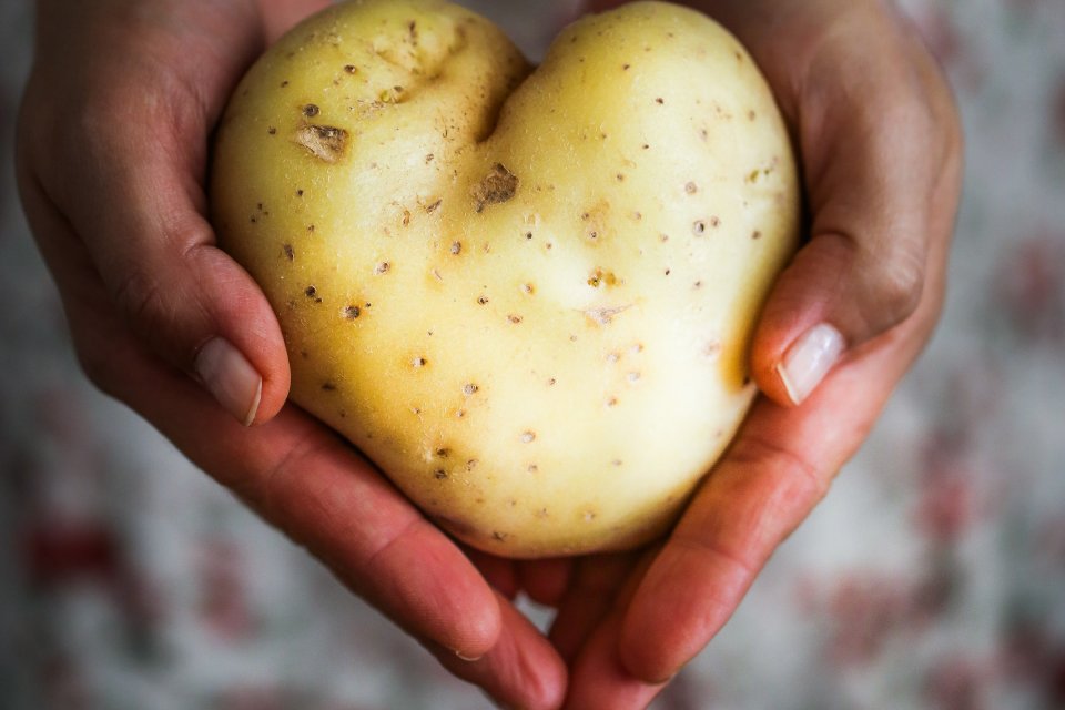 a large potato in a persons hand forming a heart