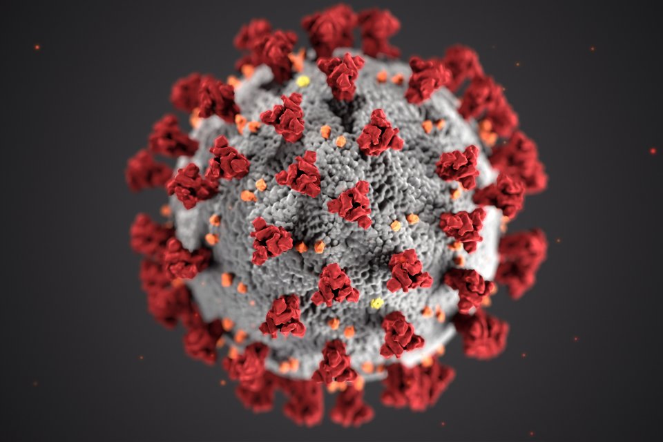 an illustration of the COVID-19 virus