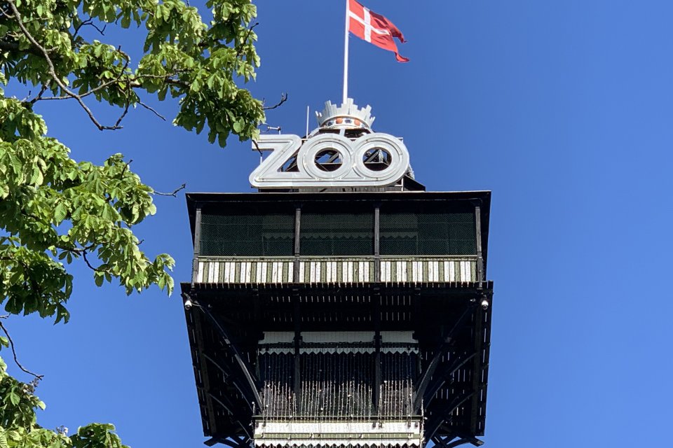 a photo of the zoo