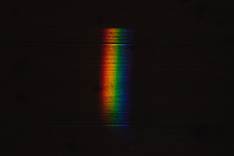polarized light