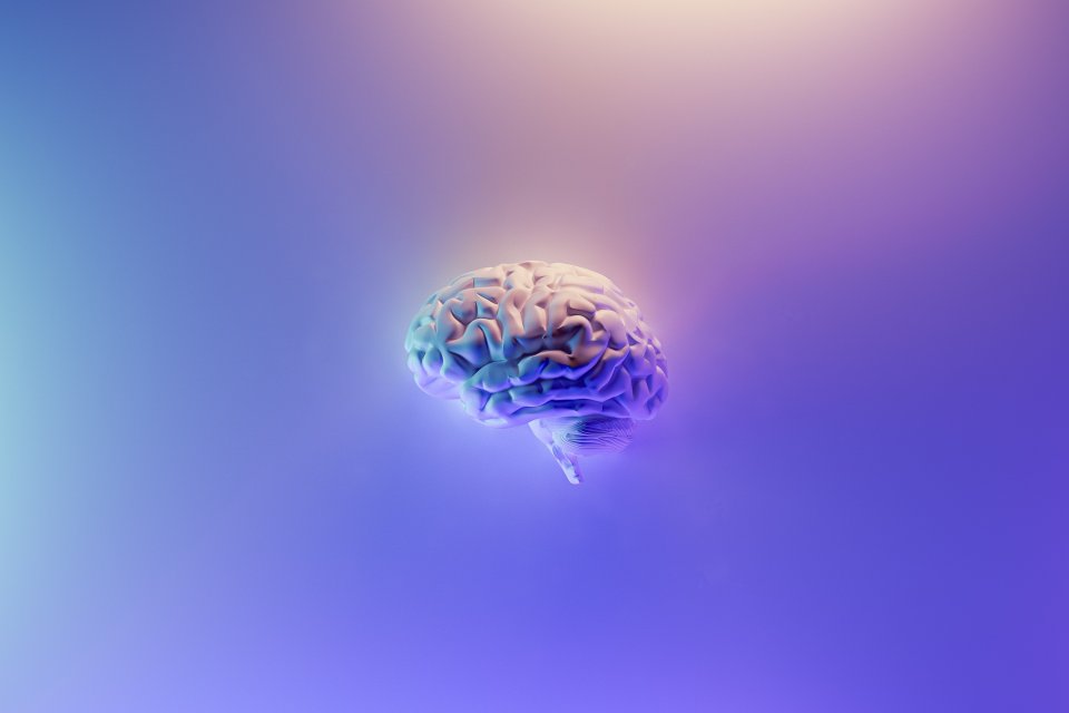 a brain floting in a blue backgroynd