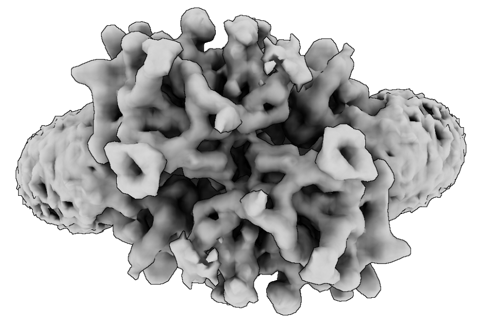 virus molecule